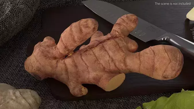 Fresh Turmeric Rhizome with Cut Cross-Section 3D model 2