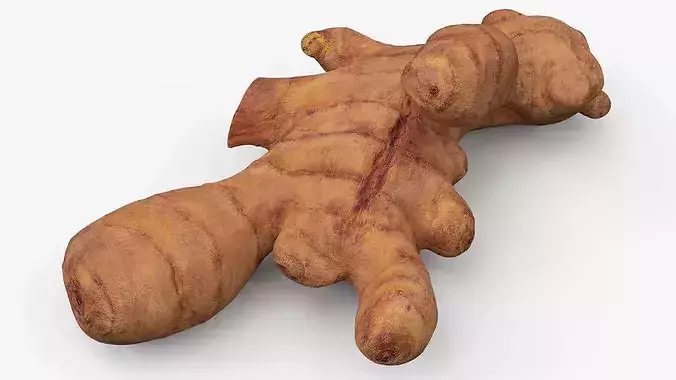 Fresh Turmeric Rhizome with Cut Cross-Section 3D model 5