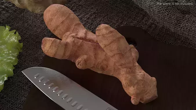 Fresh Turmeric Rhizome with Cut Cross-Section 3D model 3