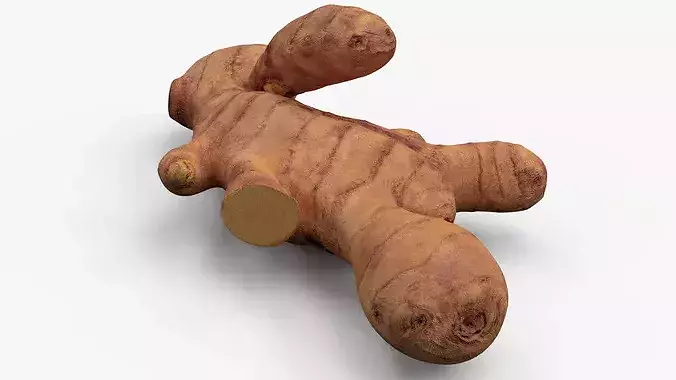 Fresh Turmeric Rhizome with Cut Cross-Section 3D model