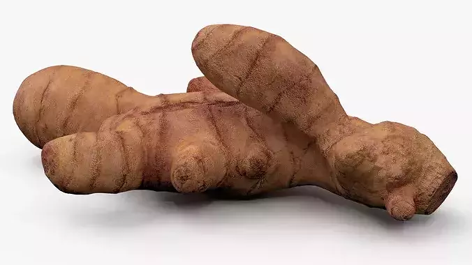 Fresh Turmeric Rhizome with Cut Cross-Section 3D model 4