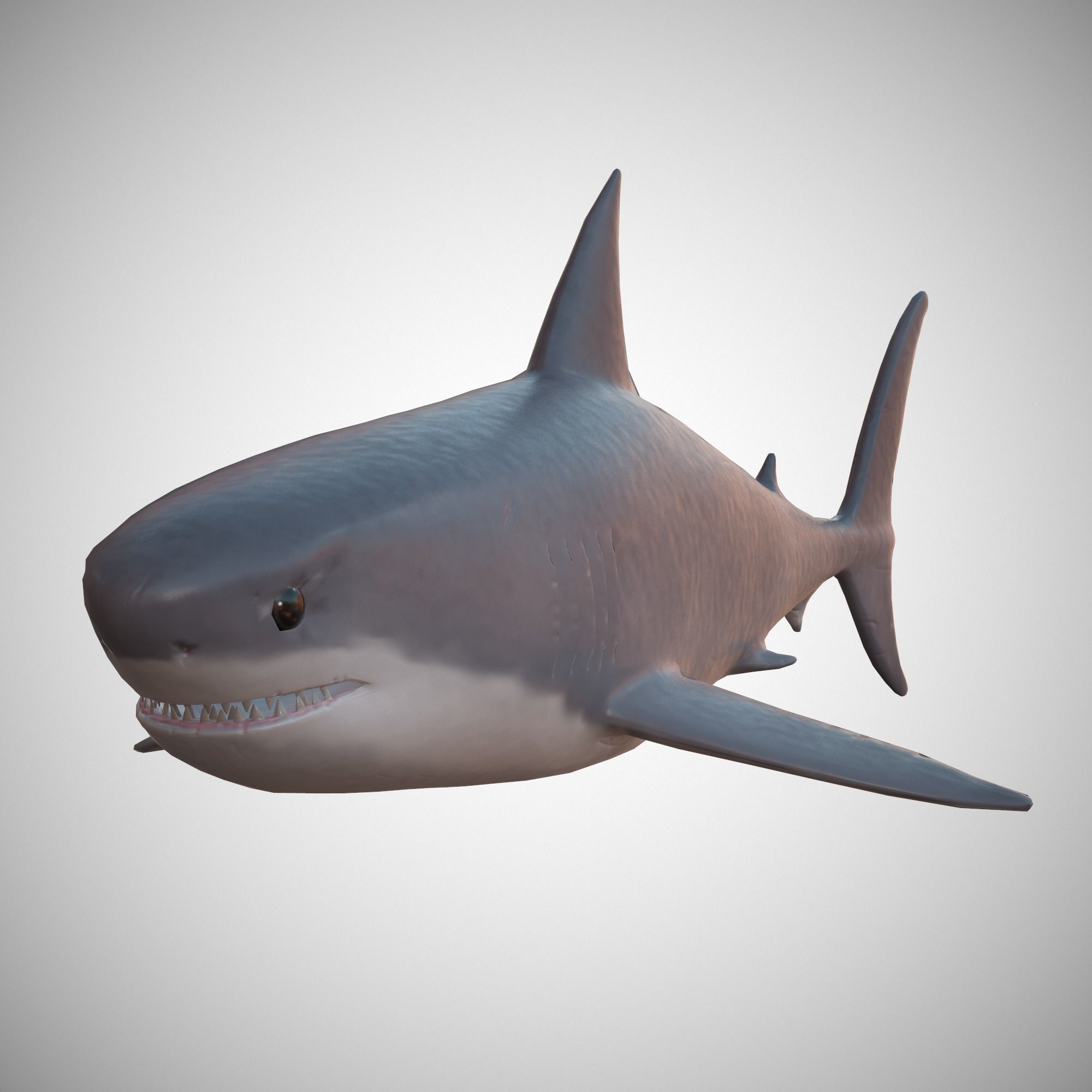Great White Shark Low-poly 3D model_0