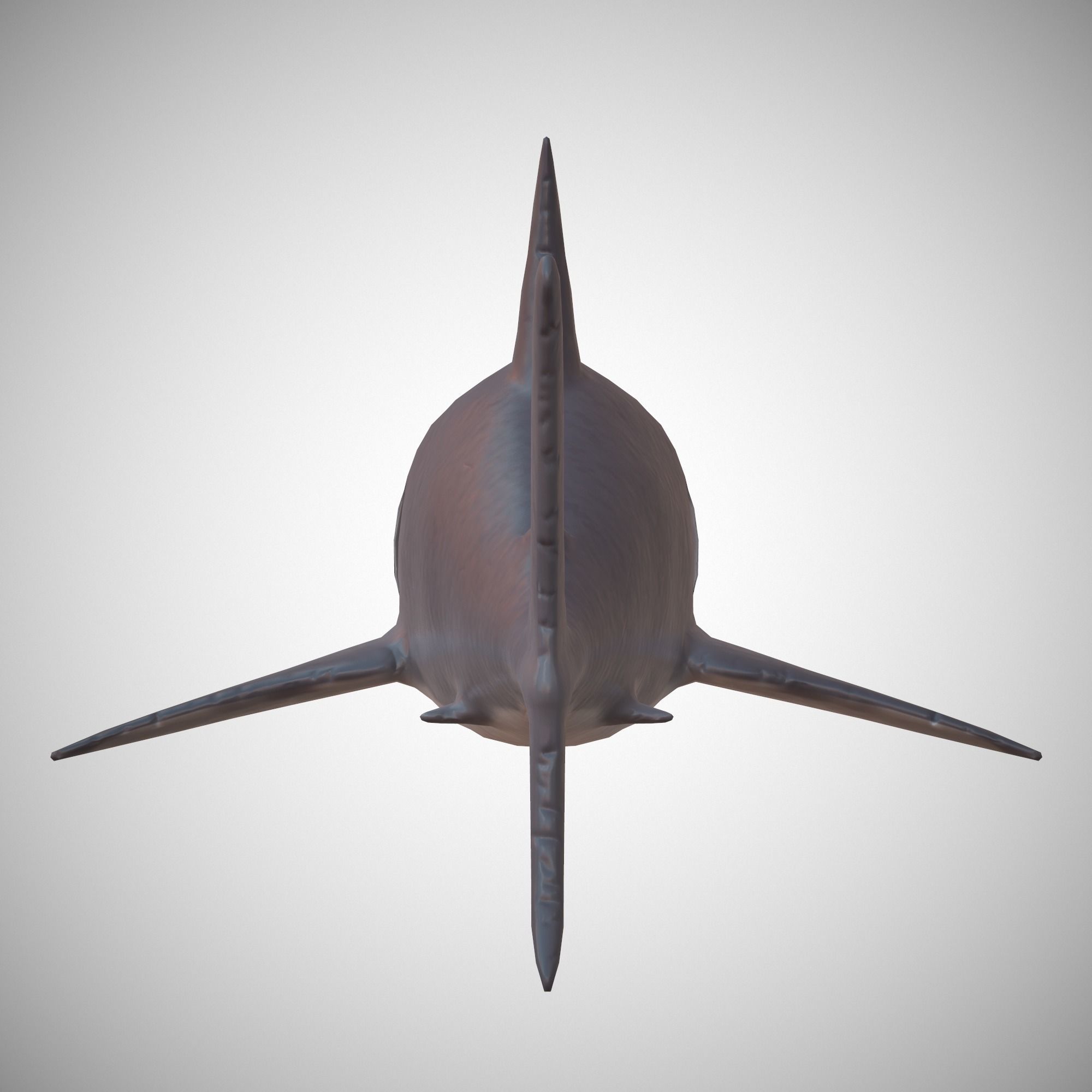 Great White Shark Low-poly 3D model_8
