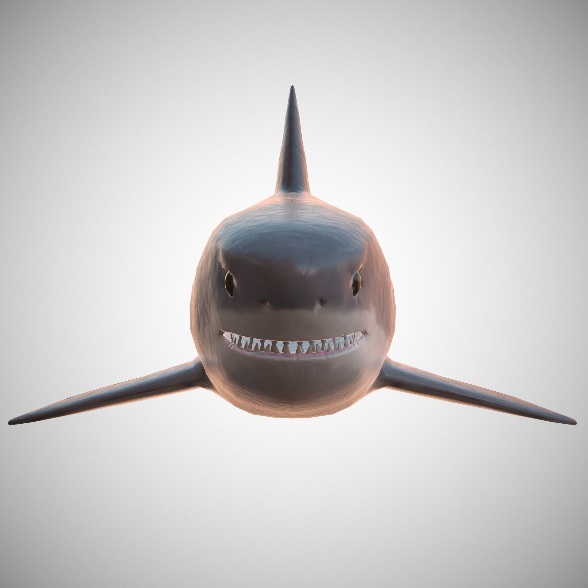 Great White Shark Low-poly 3D model_7