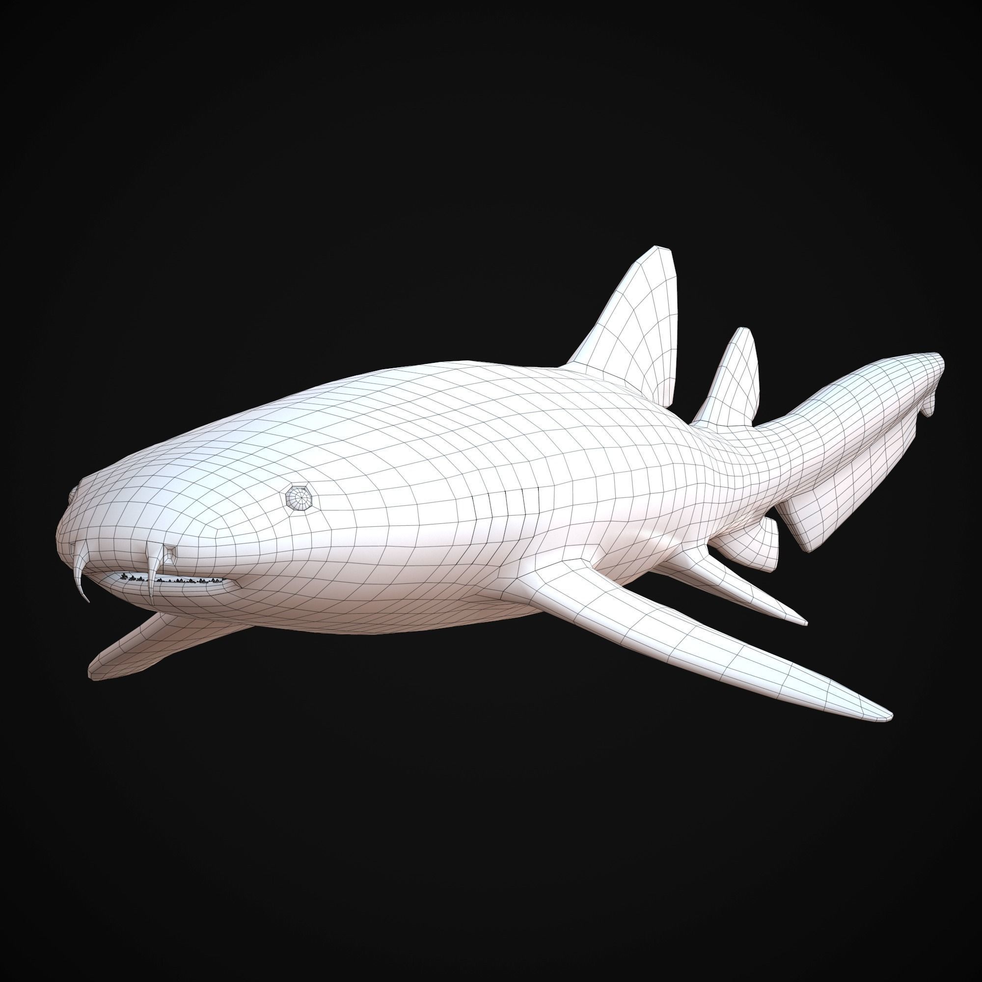 Nurse Shark Low-poly 3D model_3