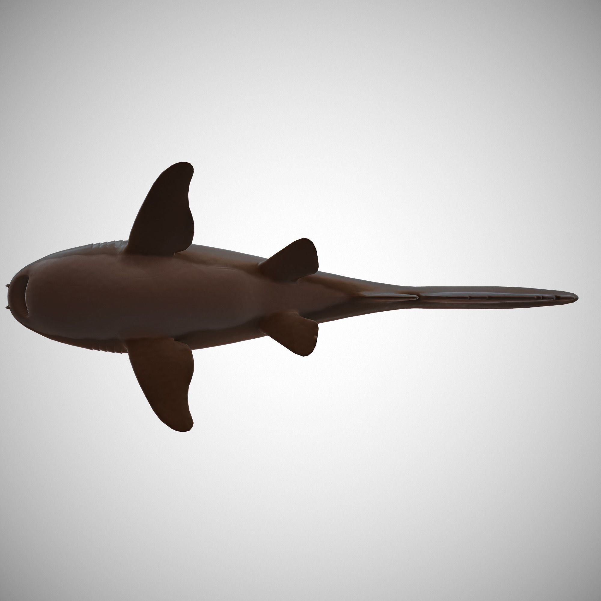 Nurse Shark Low-poly 3D model_6