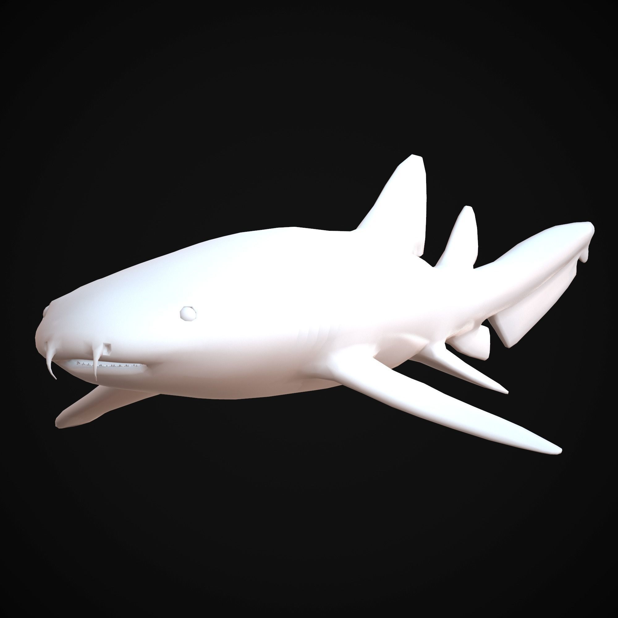 Nurse Shark Low-poly 3D model_2