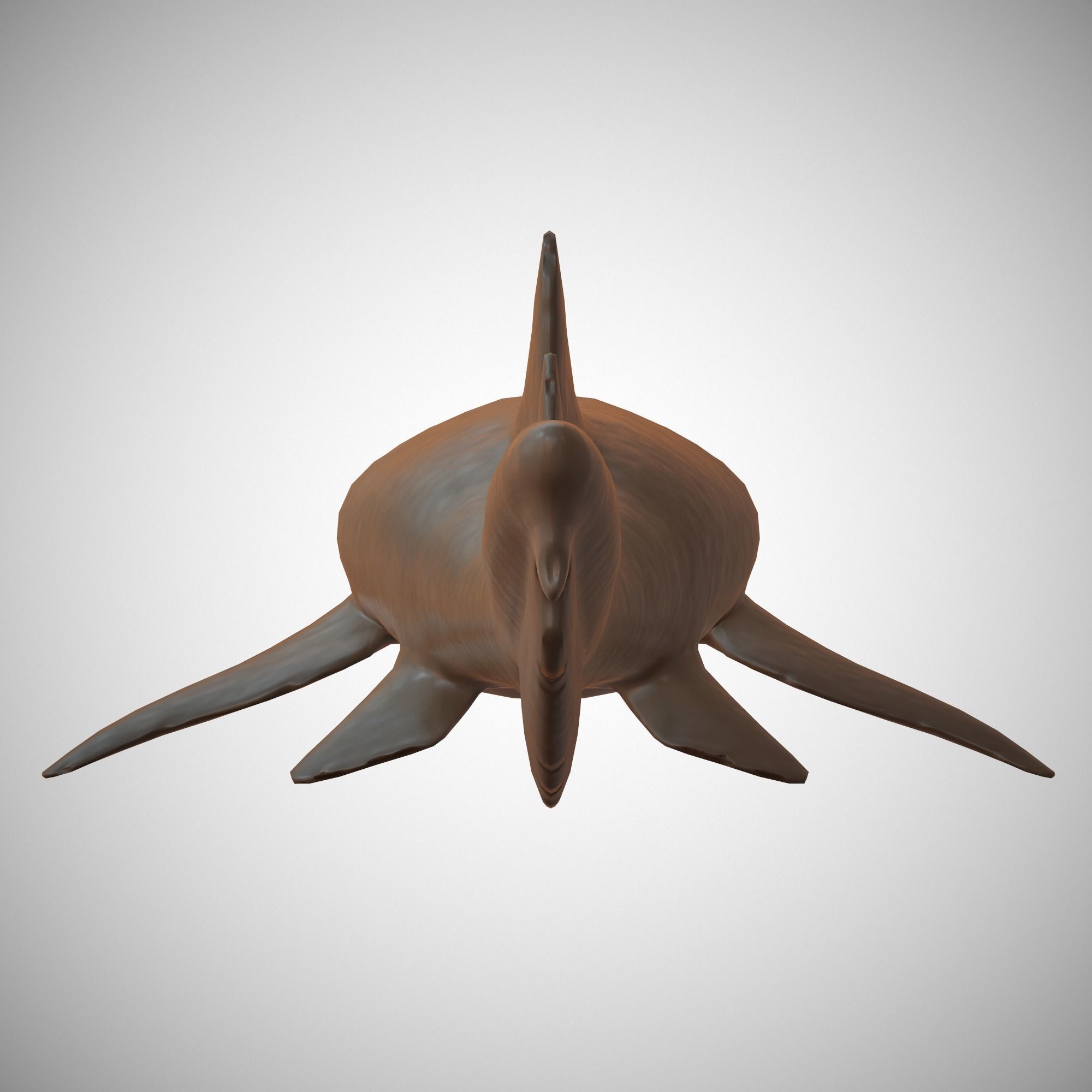 Nurse Shark Low-poly 3D model_8
