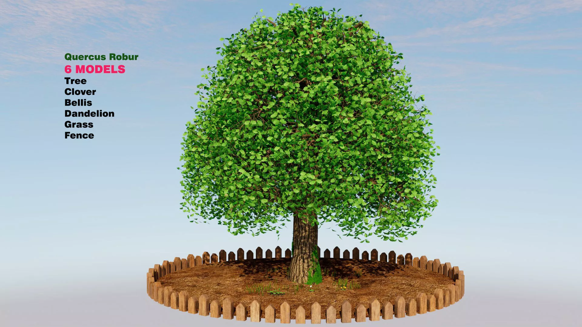 Quercus robur Low-poly 3D model