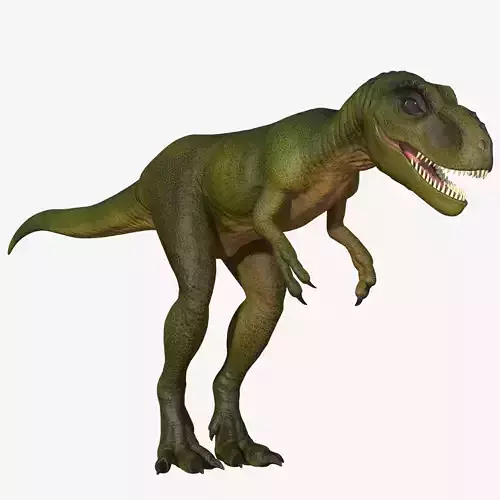 Young Tyrannosaurus Rex Low-poly 3D model