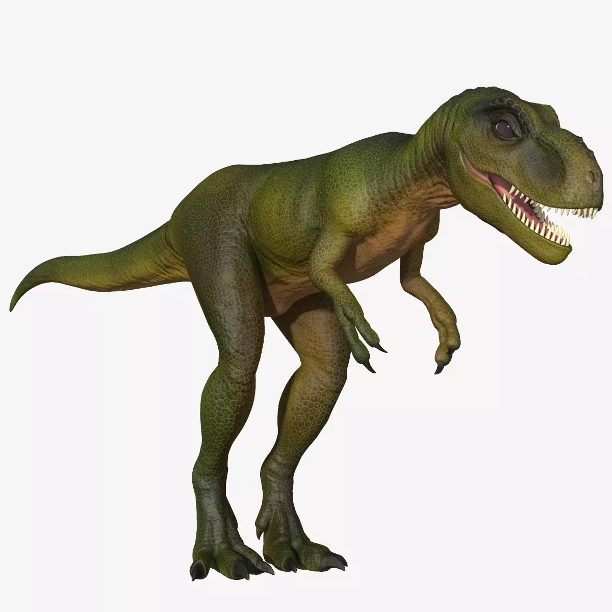 Young Tyrannosaurus Rex Low-poly 3D model