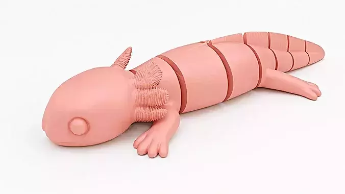 Flexi Articulated Axolotl