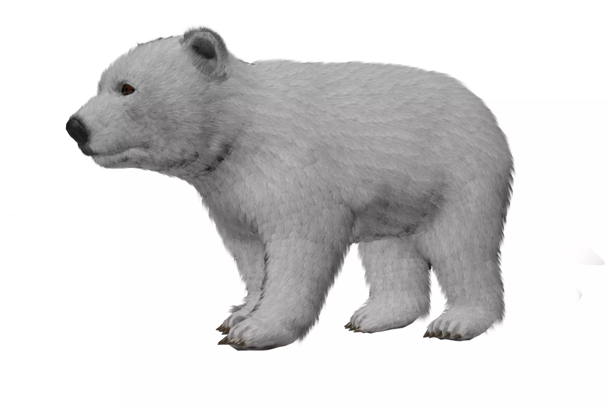 Polar Bear Cub Fur Low-poly 3D model