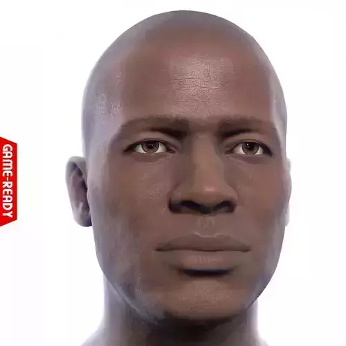 Average Black Male Head Low-poly 3D model