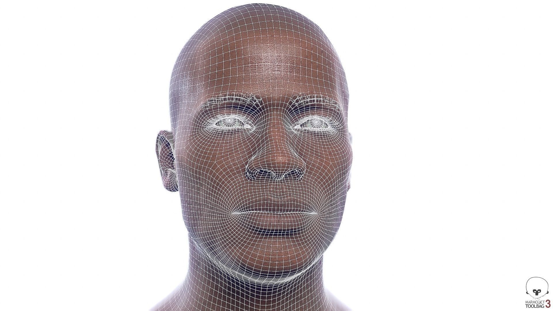 Average Black Male Head Low-poly 3D model_16