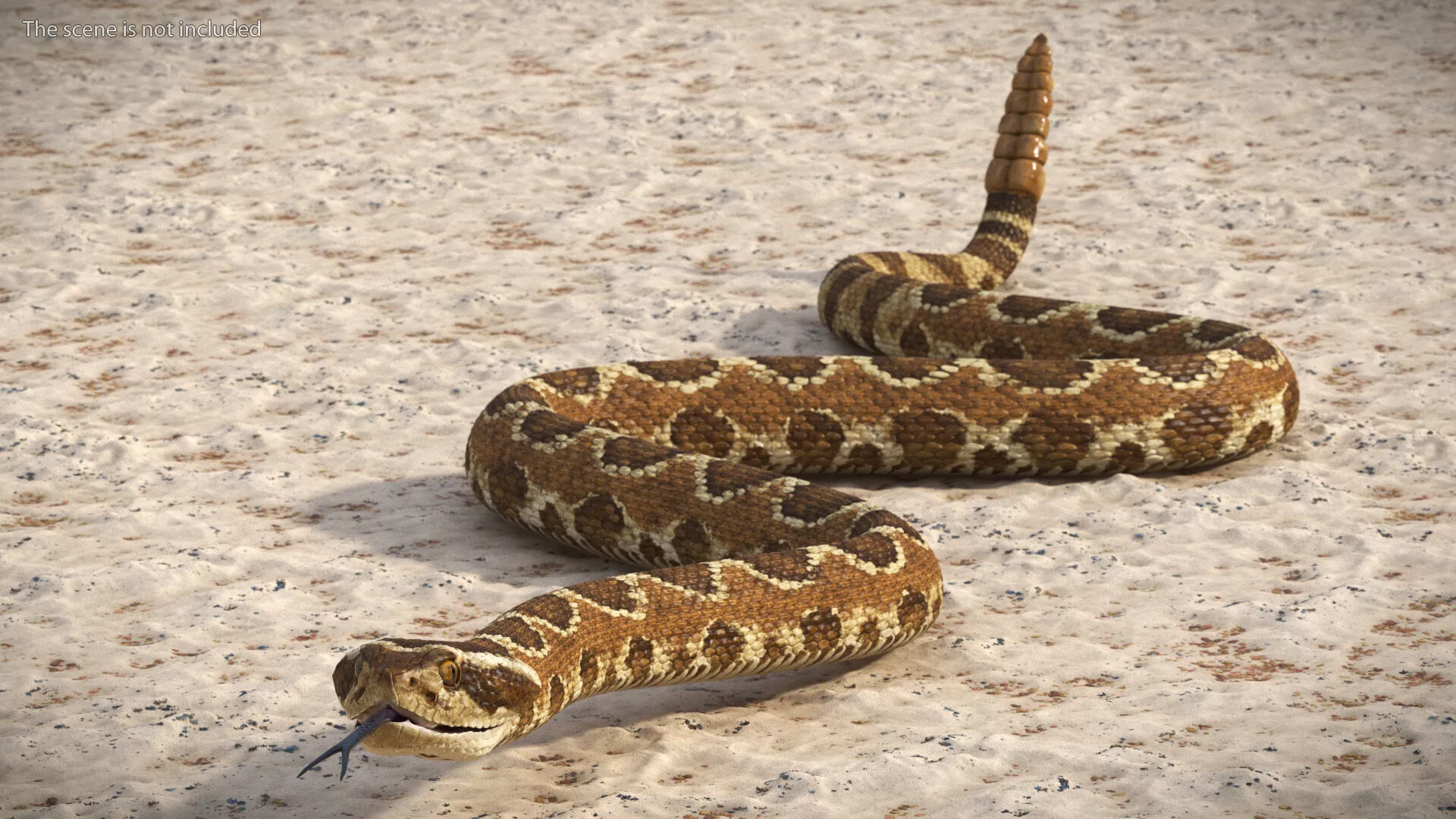 Light Rattlesnake Crawls Animated Rigged 3D model