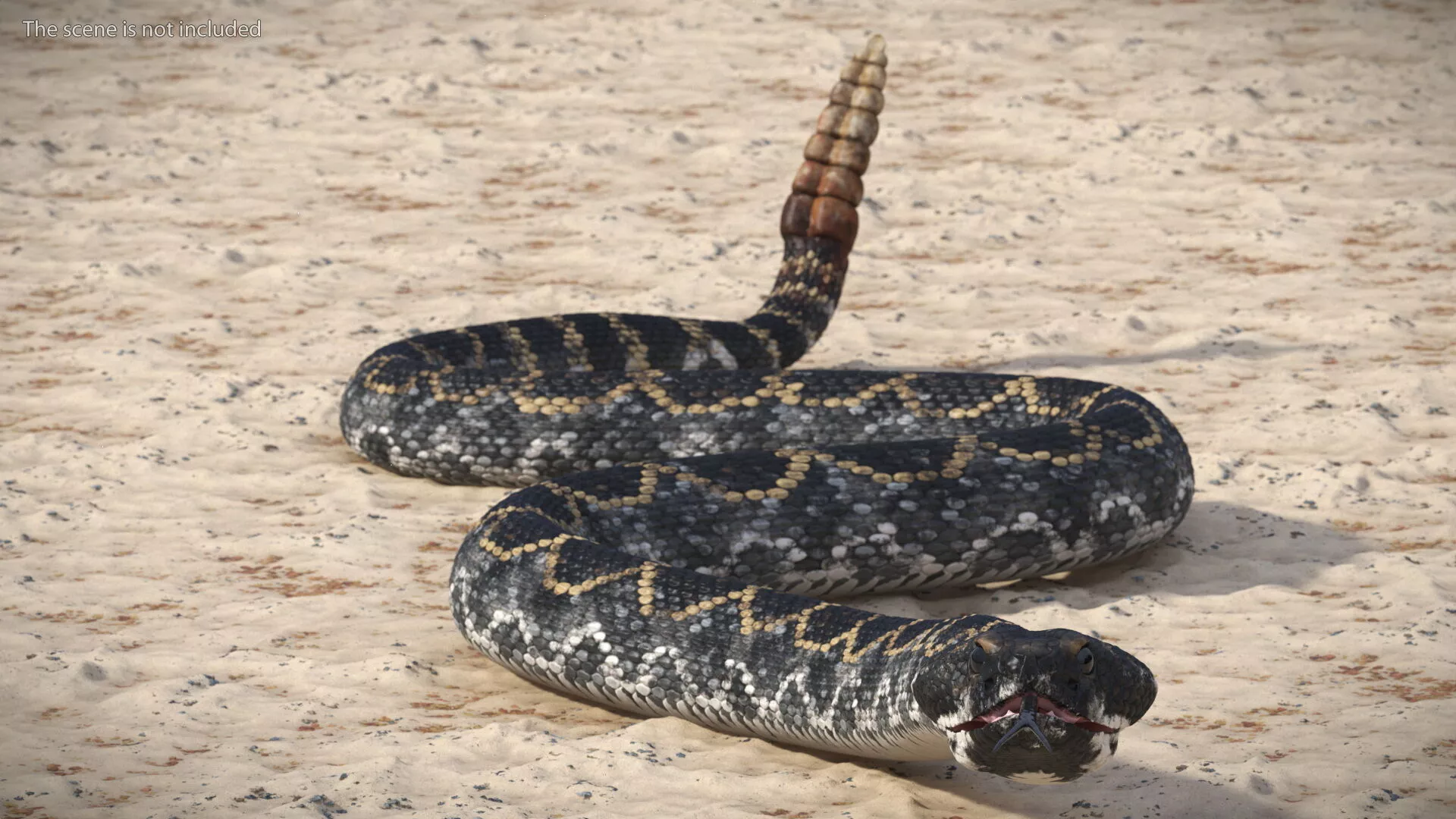 Rattlesnake Crawls Animated Rigged 3D model