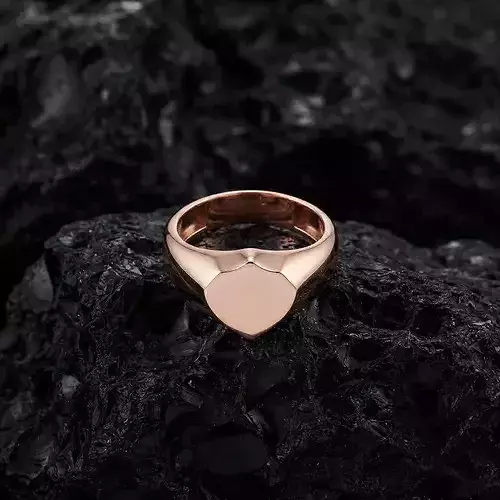 Jewelry Signet Ring v25 S Size