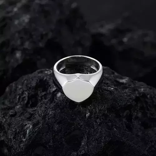 Jewelry Signet Ring v25 M Size
