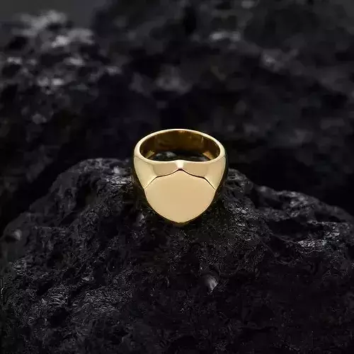 Jewelry Signet Ring v25 L Size