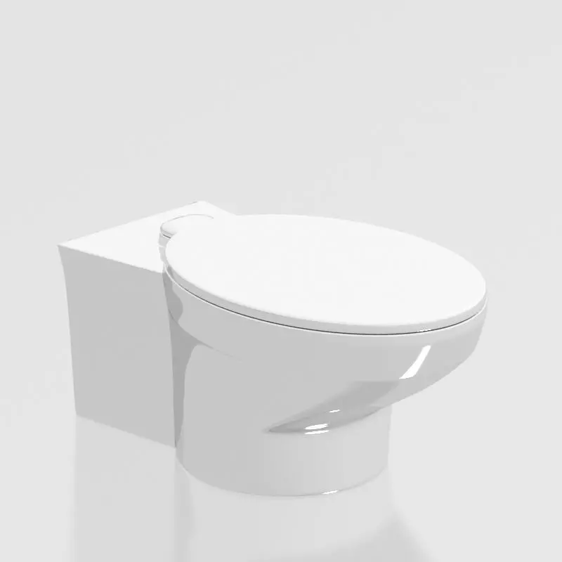 Toilet 001 3D model_0