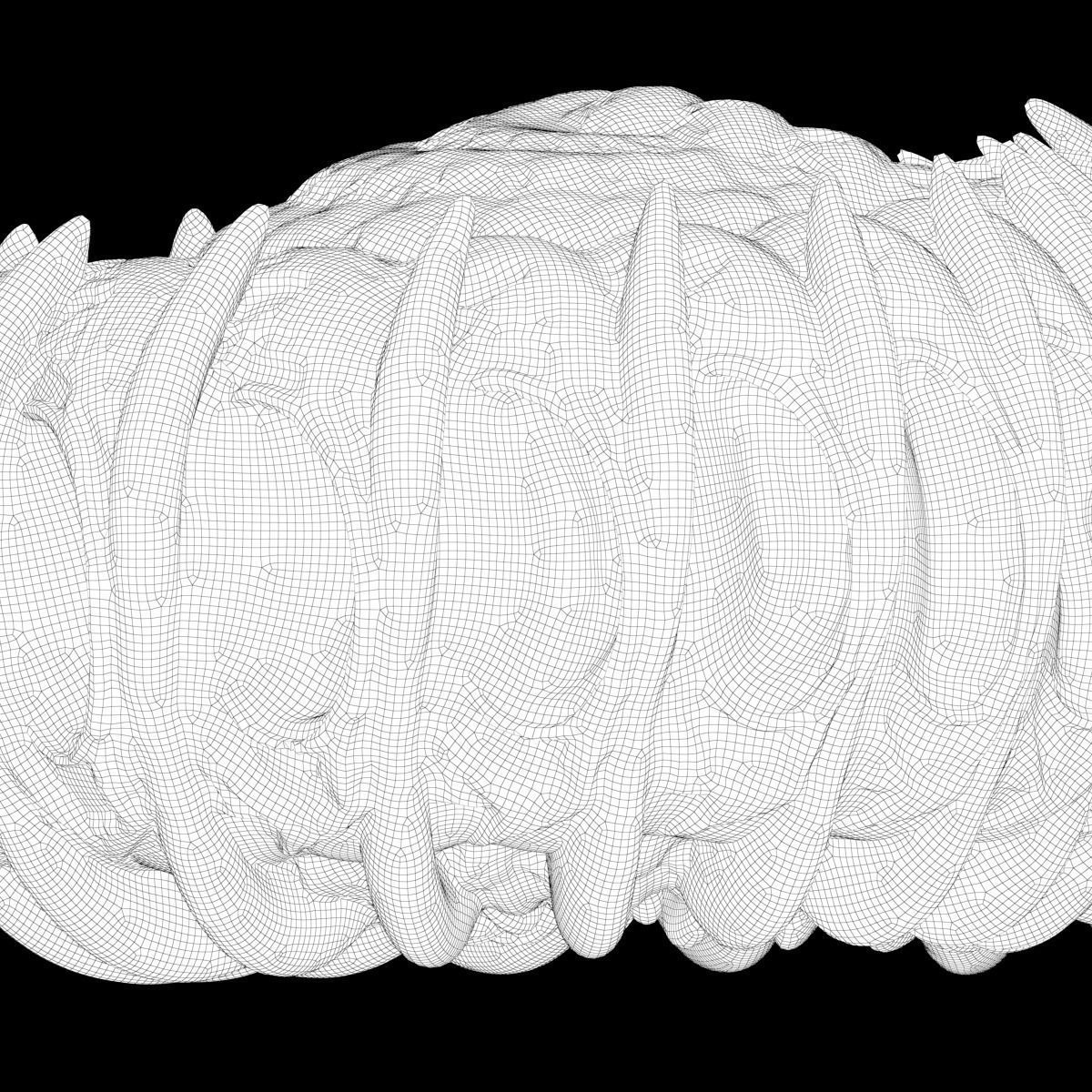 Martian Shell Aranea 3D print model_6