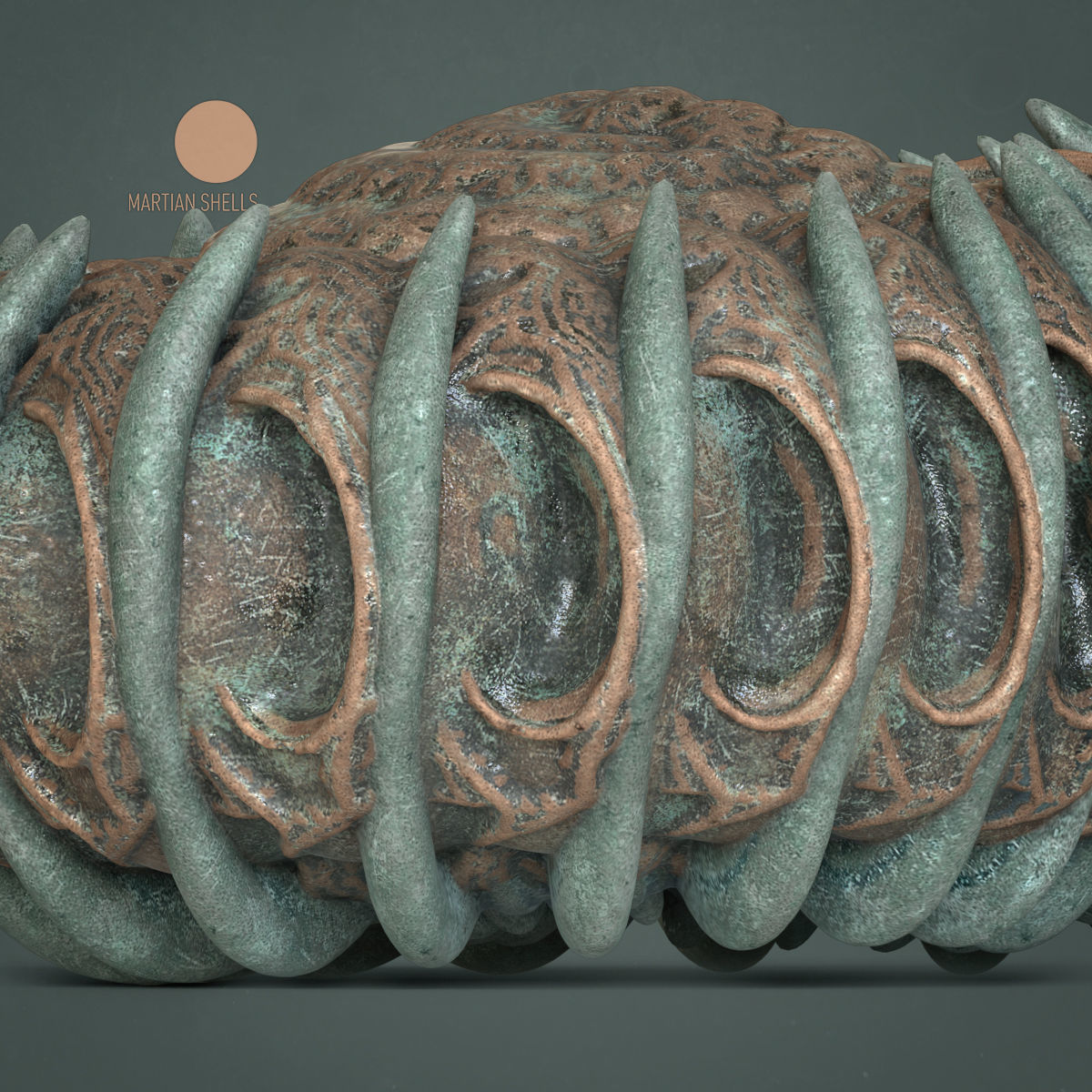 Martian Shell Aranea 3D print model_2