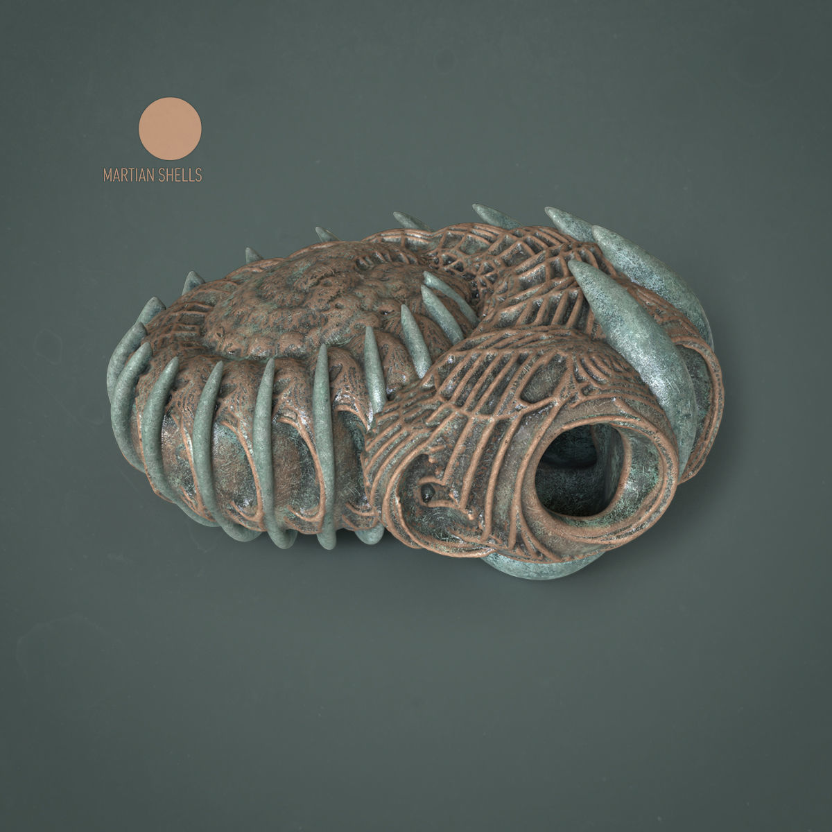 Martian Shell Aranea 3D print model_3
