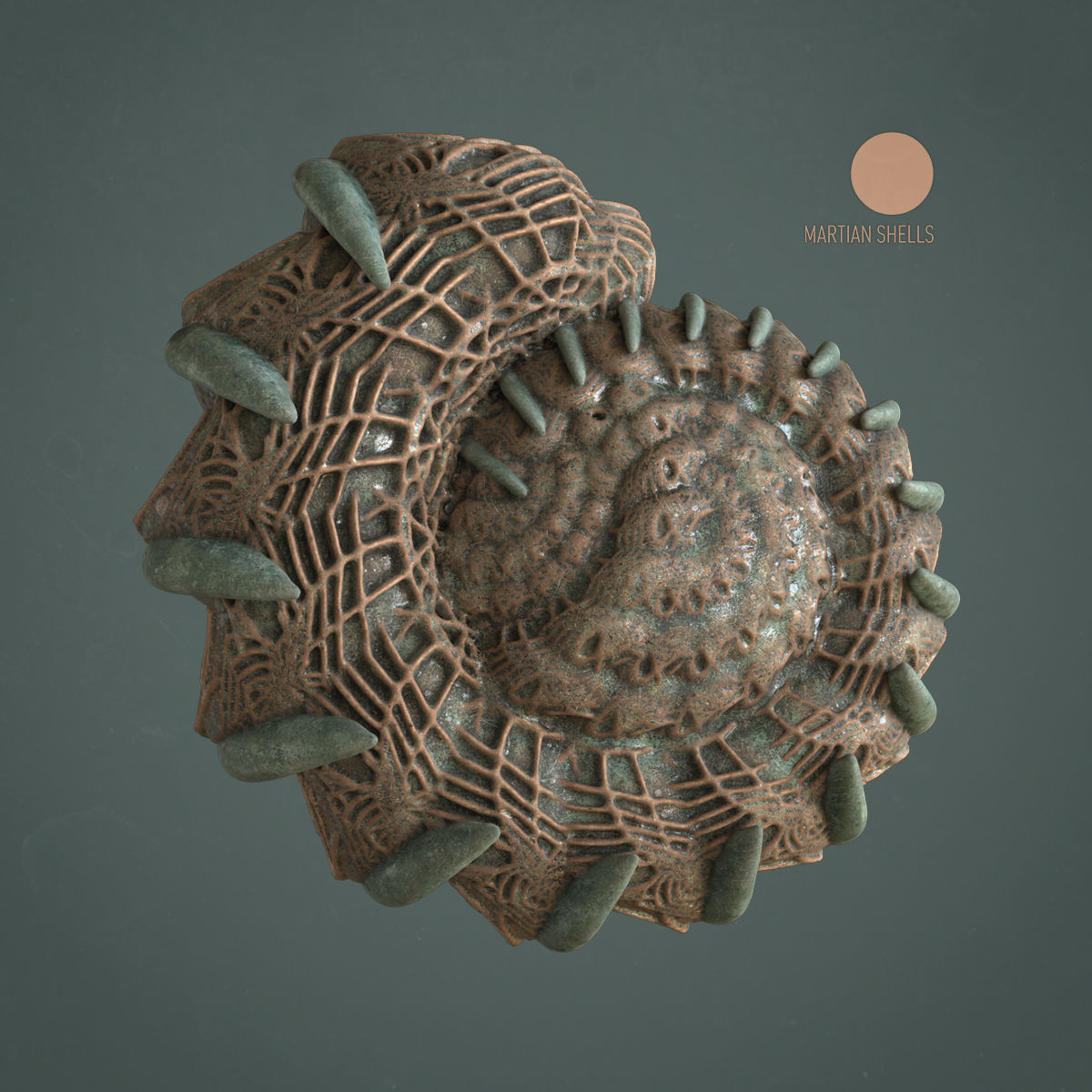 Martian Shell Aranea 3D print model_0