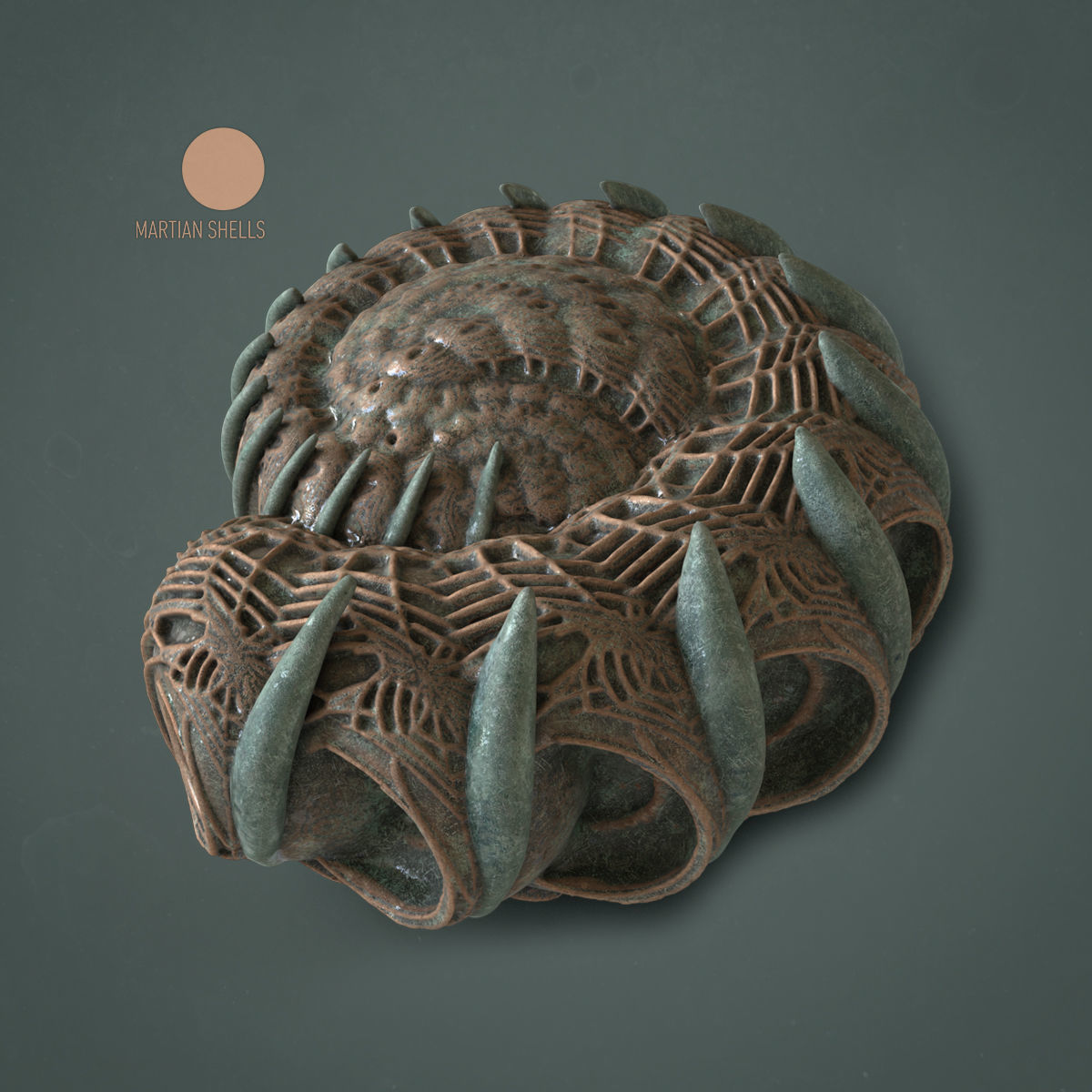 Martian Shell Aranea 3D print model_5