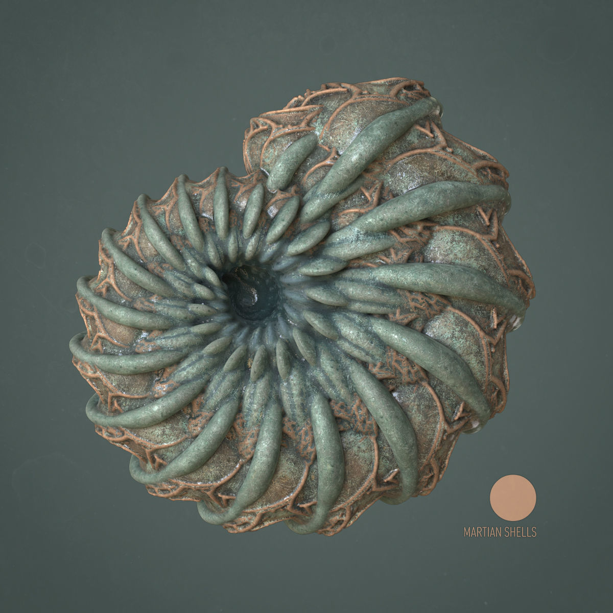 Martian Shell Aranea 3D print model_1