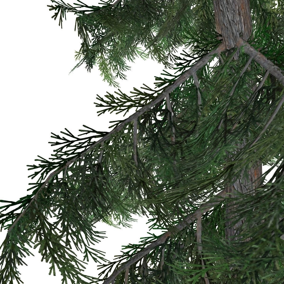 Tree-00011 pine tree Low-poly 3D model_5