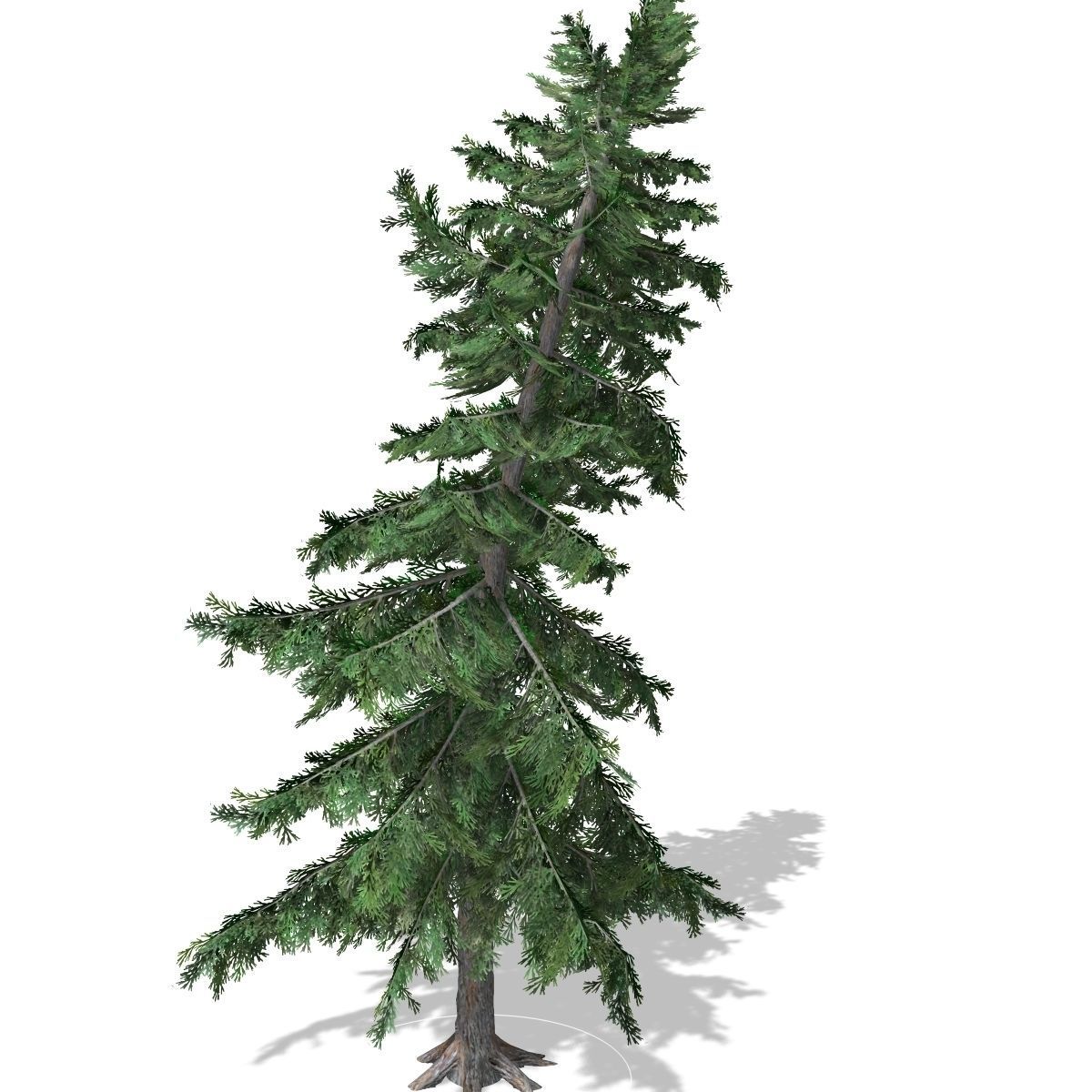 Tree-00011 pine tree Low-poly 3D model_1