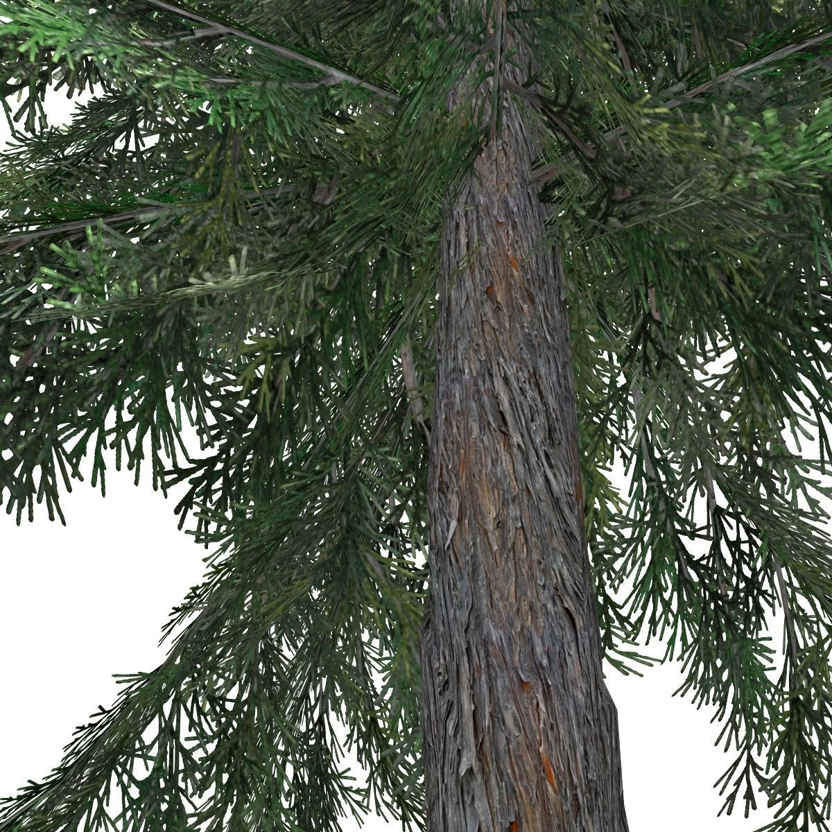 Tree-00011 pine tree Low-poly 3D model_3