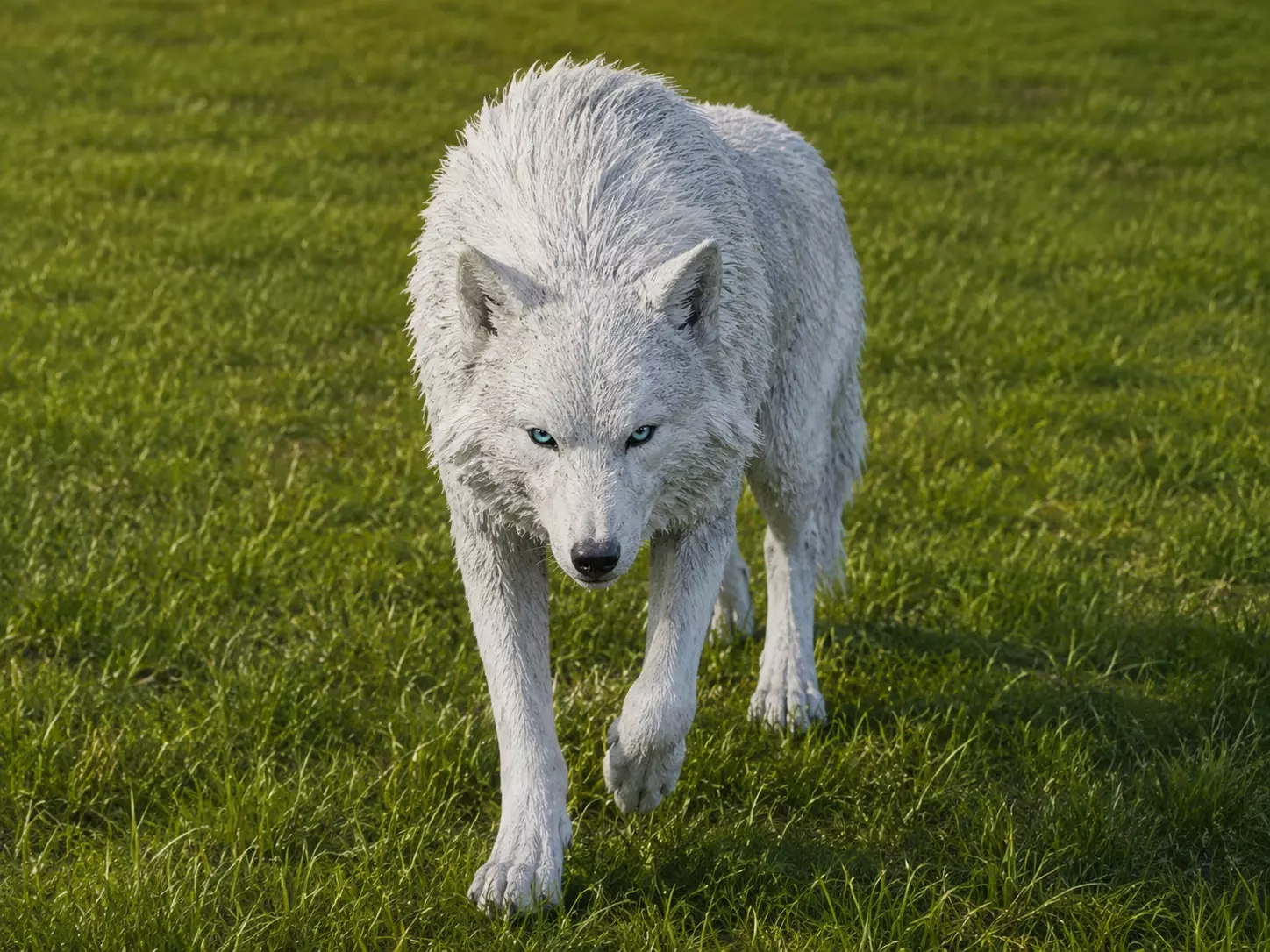 Wolf rigged animated Low-poly 3D model