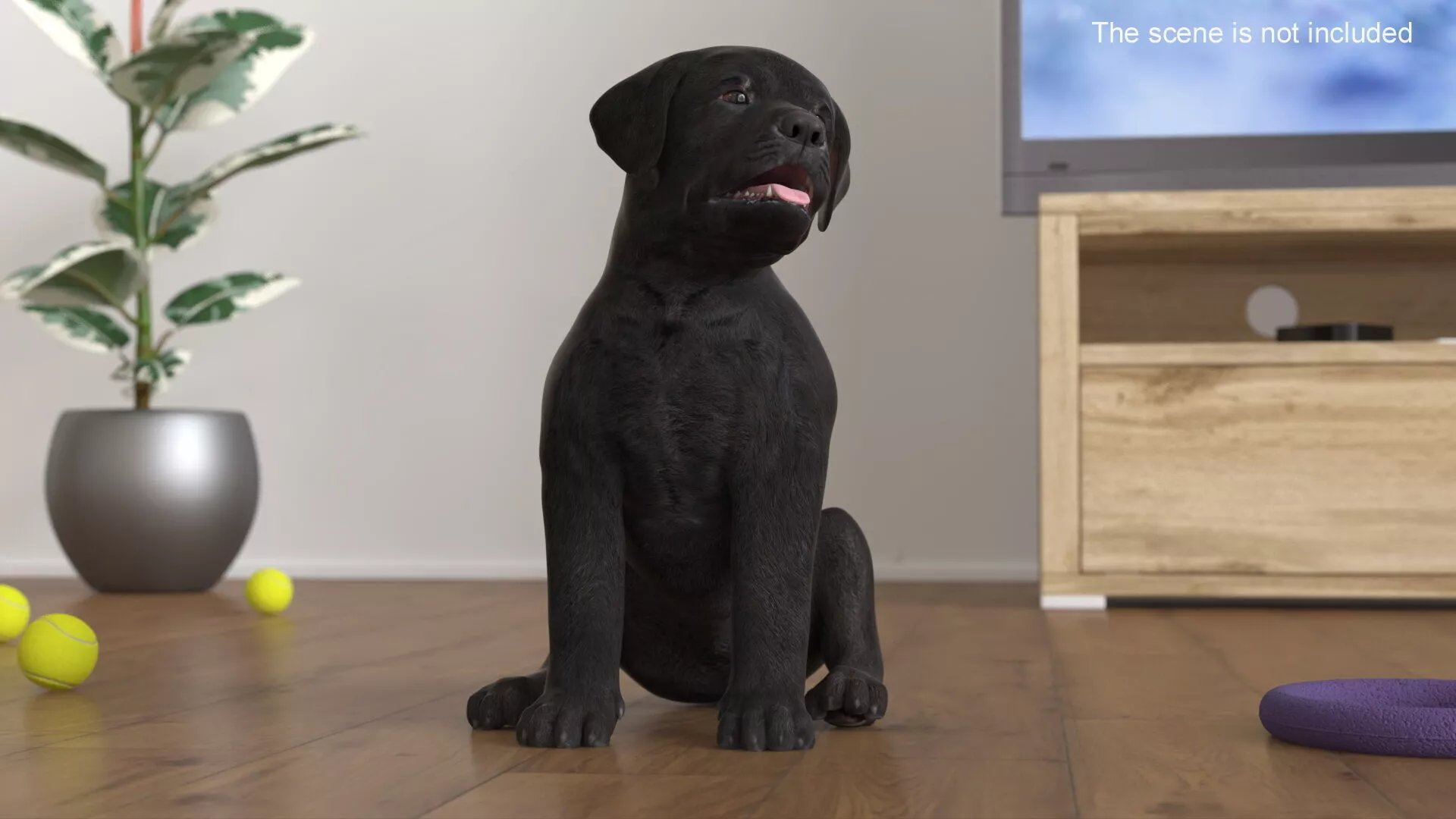Labrador Retriever Puppy Black Rigged for Cinema 4D 3D model