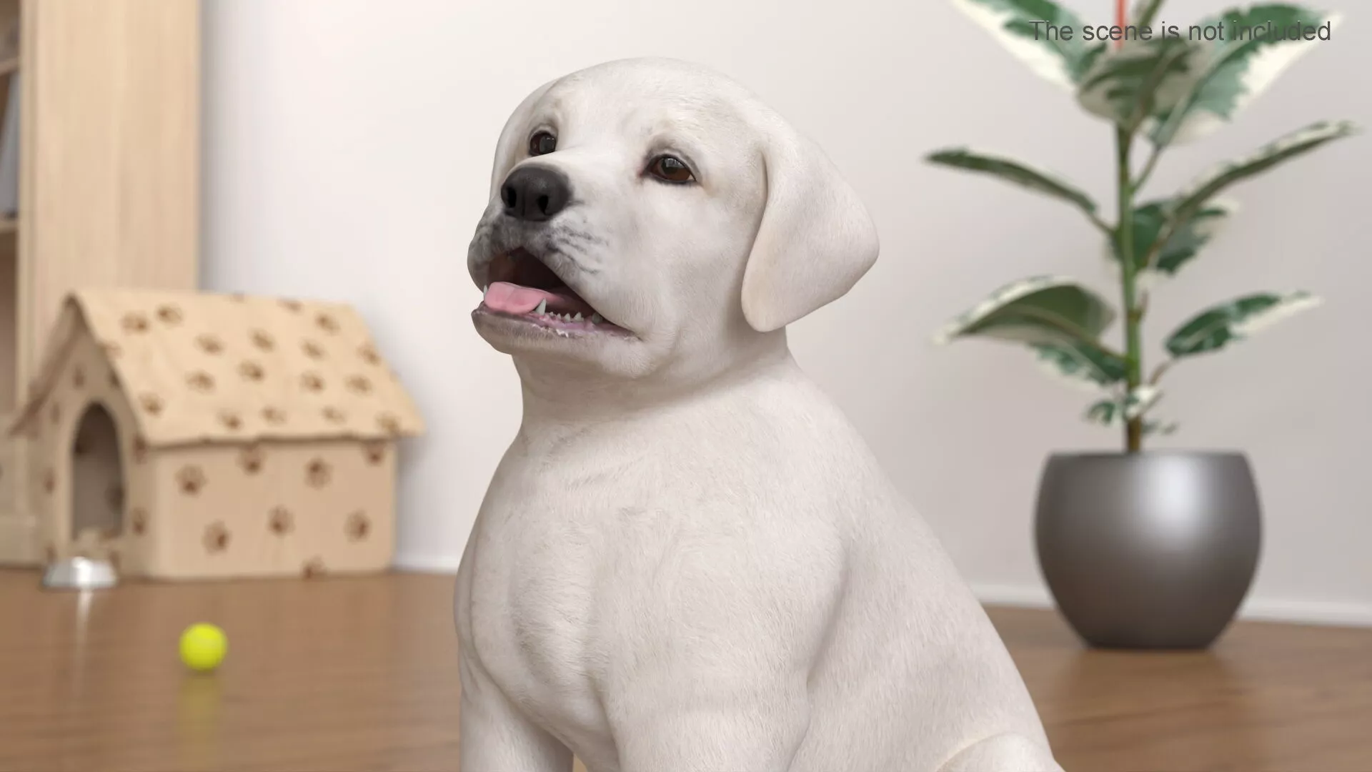 White Labrador Retriever Puppy Rigged for Cinema 4D 3D model
