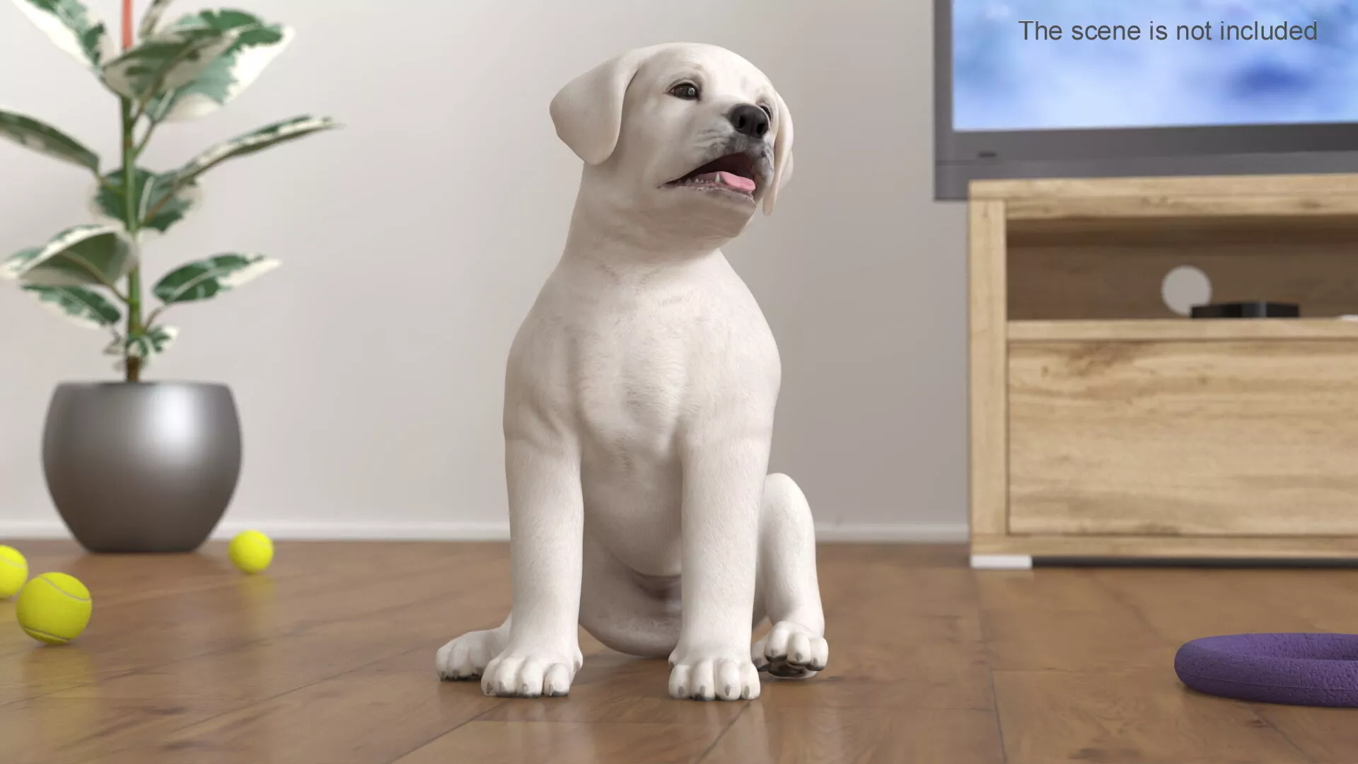 White Labrador Retriever Puppy Rigged for Maya 3D model