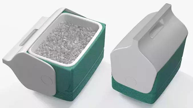 Portable Thermobox Filled with Ice 3D model 5