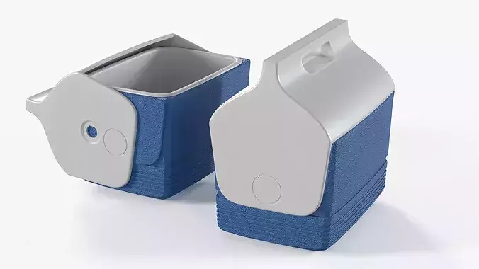 Personal Cooler Box with Swing Top 3D model