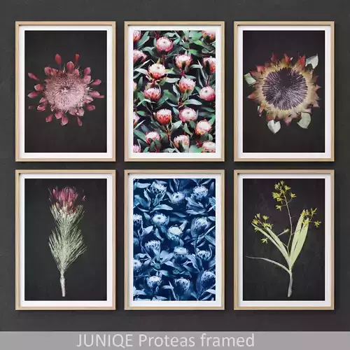 Proteas framed set-01