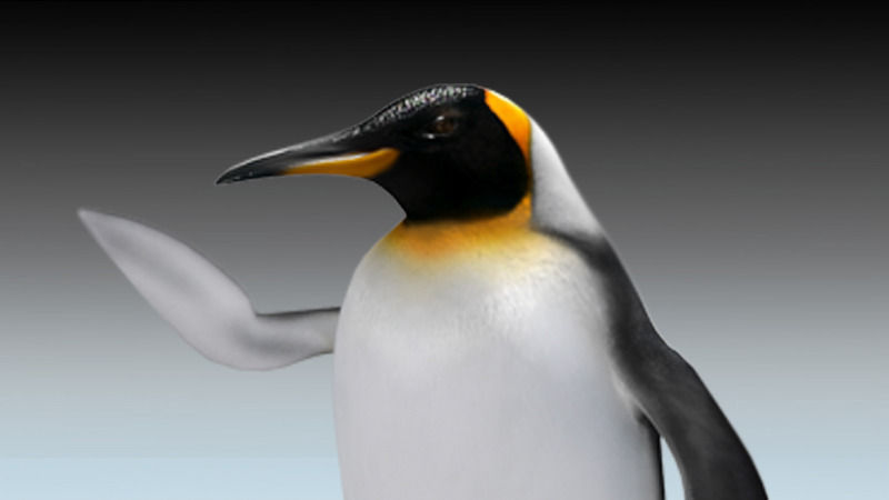 Emperor penguin Low-poly 3D model_1