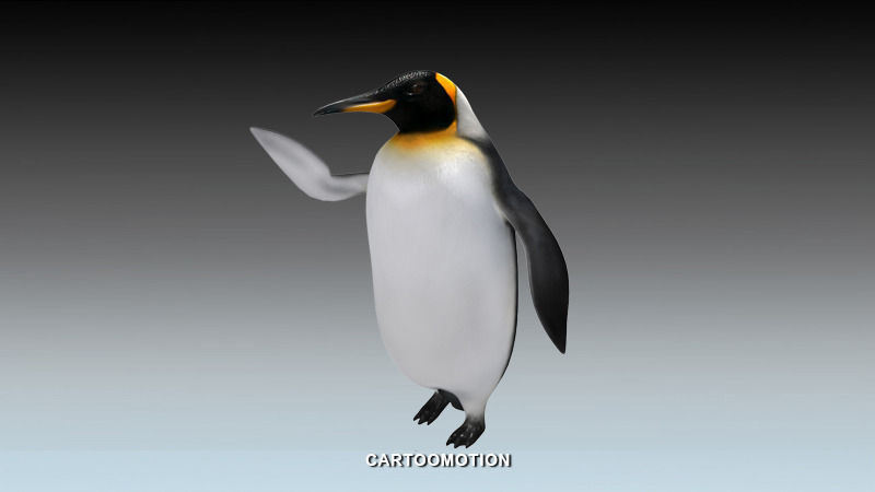 Emperor penguin Low-poly 3D model_4