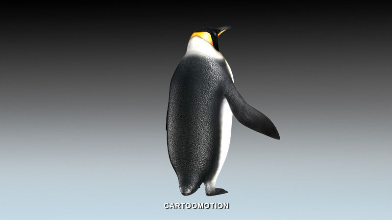 Emperor penguin Low-poly 3D model_6