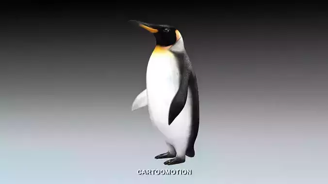 Emperor penguin Low-poly 3D model
