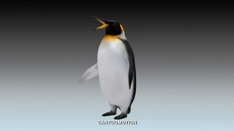 Emperor penguin Low-poly 3D model_13