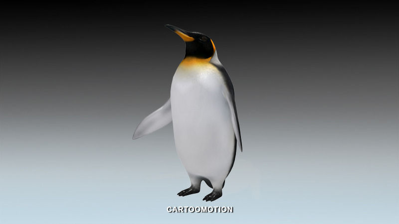 Emperor penguin Low-poly 3D model_9