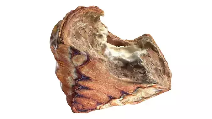 Cross-Section of Filled Croissant 3D model 4