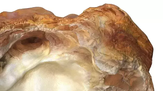 Cross-Section of Filled Croissant 3D model 5
