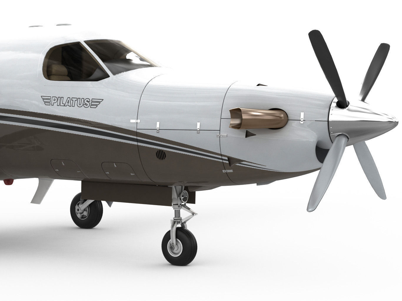 Pilatus PC-12 NG 3D model_2
